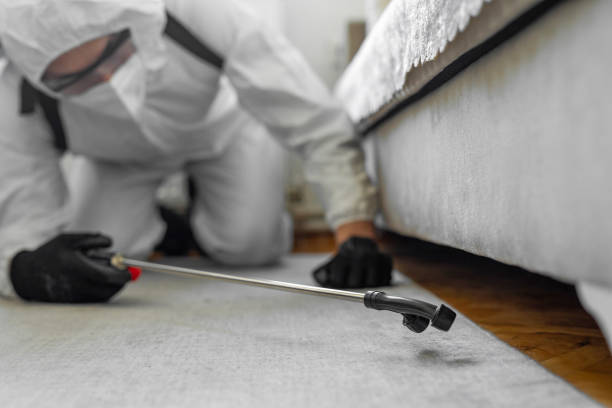 Professional Termite Control technician working in Berlin, OH