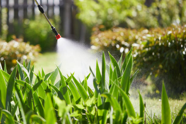 24/7 Emergency Termite Control experts in Berlin, OH