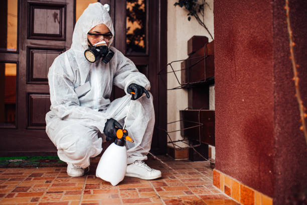 Reliable Termite Control contractor in Berlin, OH by Nex Pest Control
